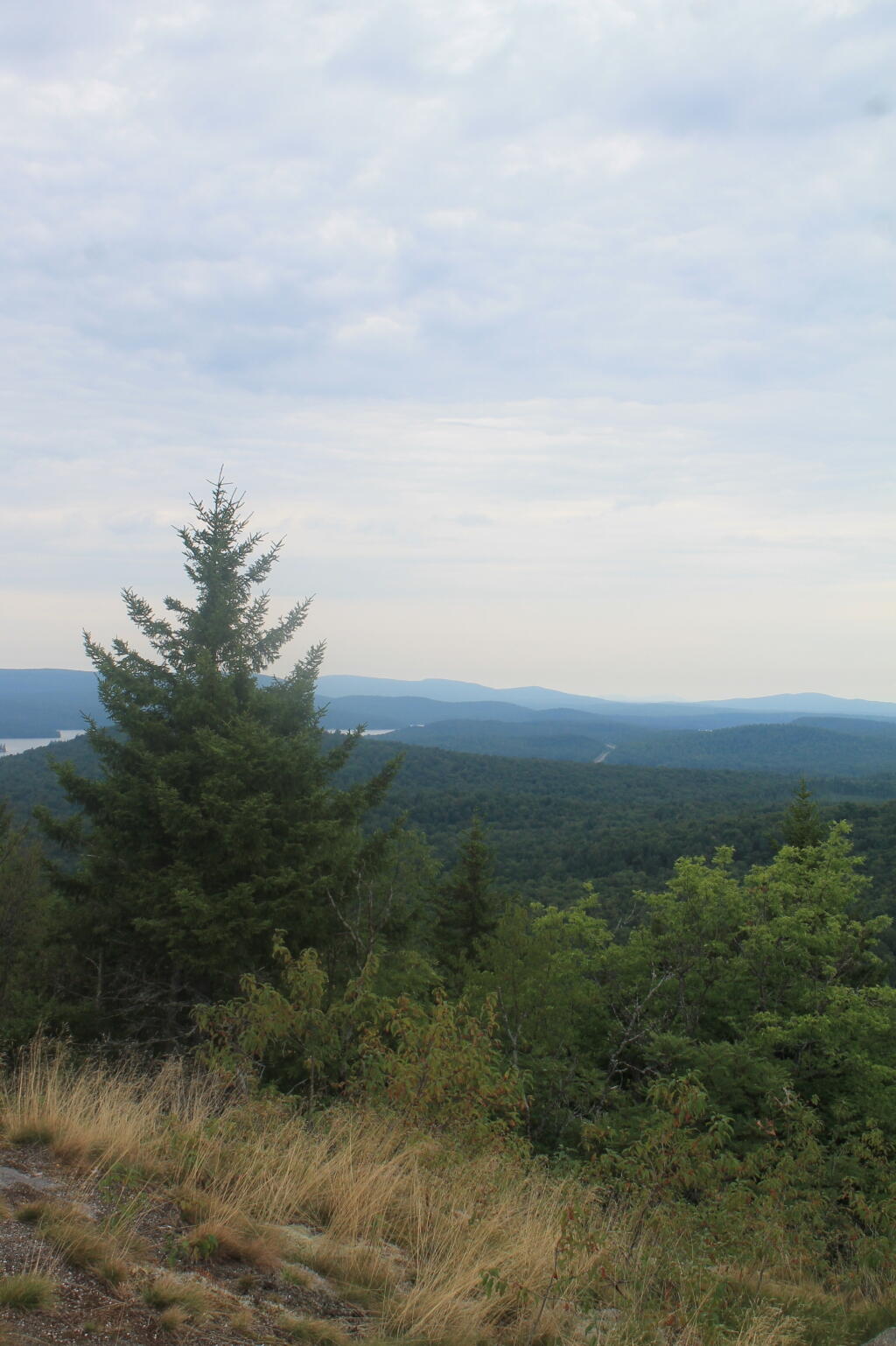 Photo: North
