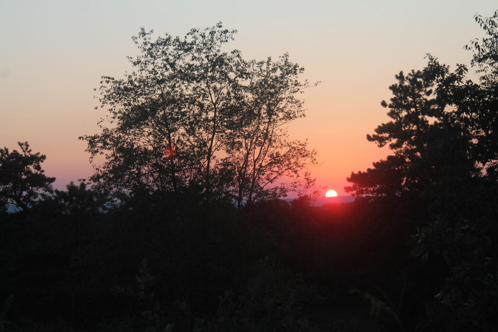 Photo: Blueberry Hill Sunset
