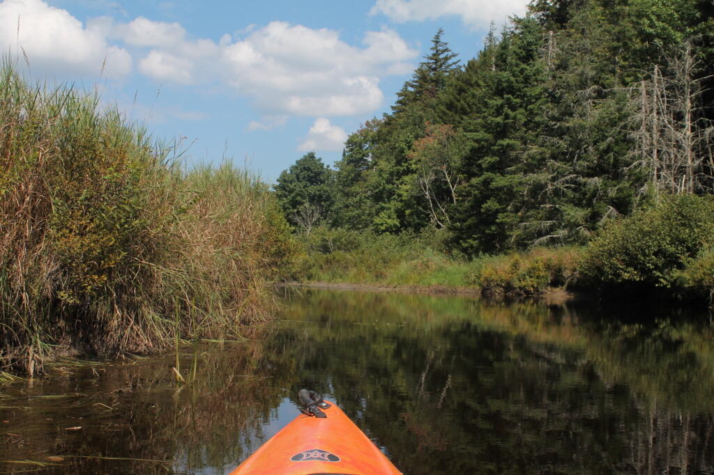 Photo: Black Water