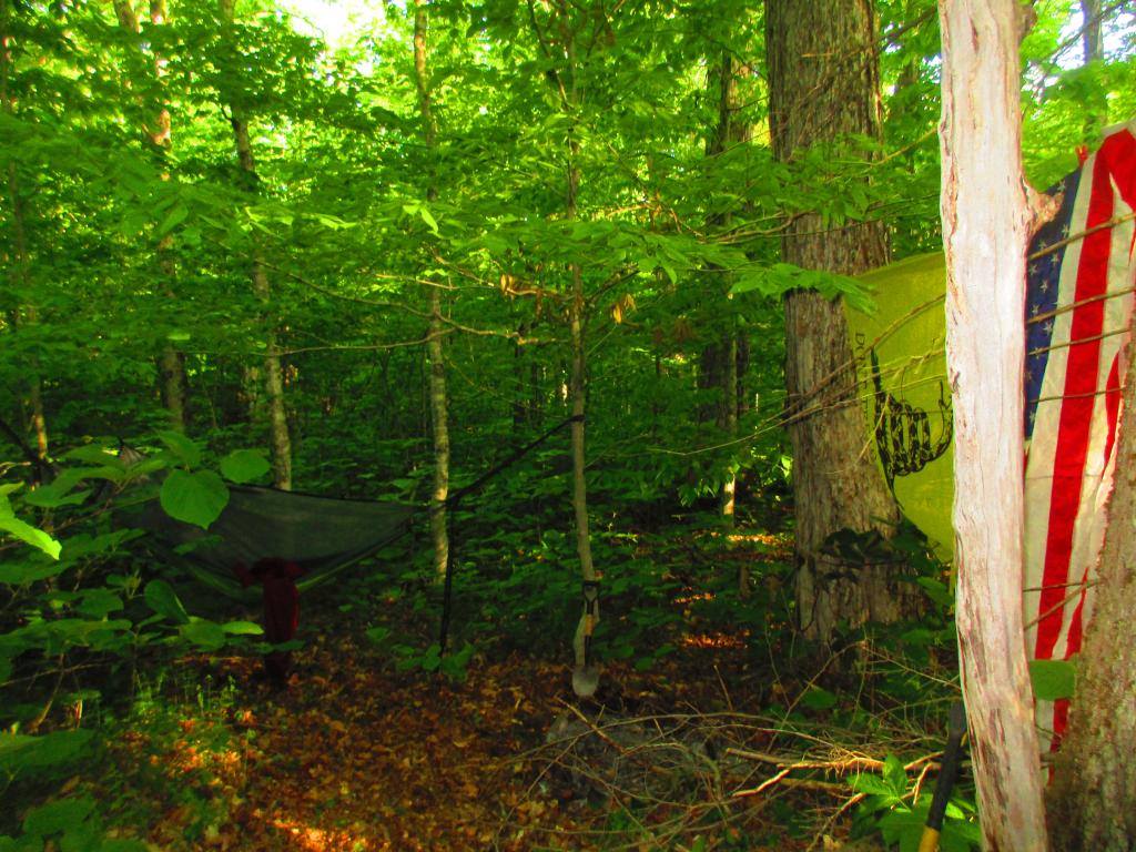 Photo: Hammock Camping in a clearing along George Aitken Wilderness Road