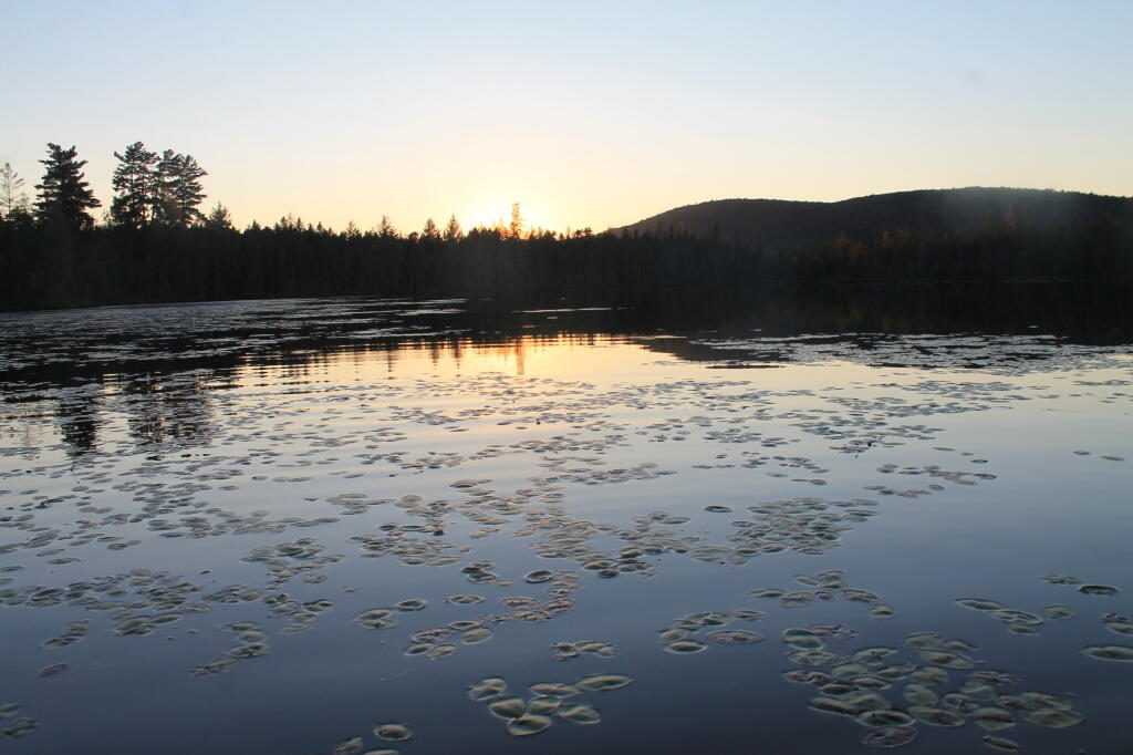 Photo: Untitled