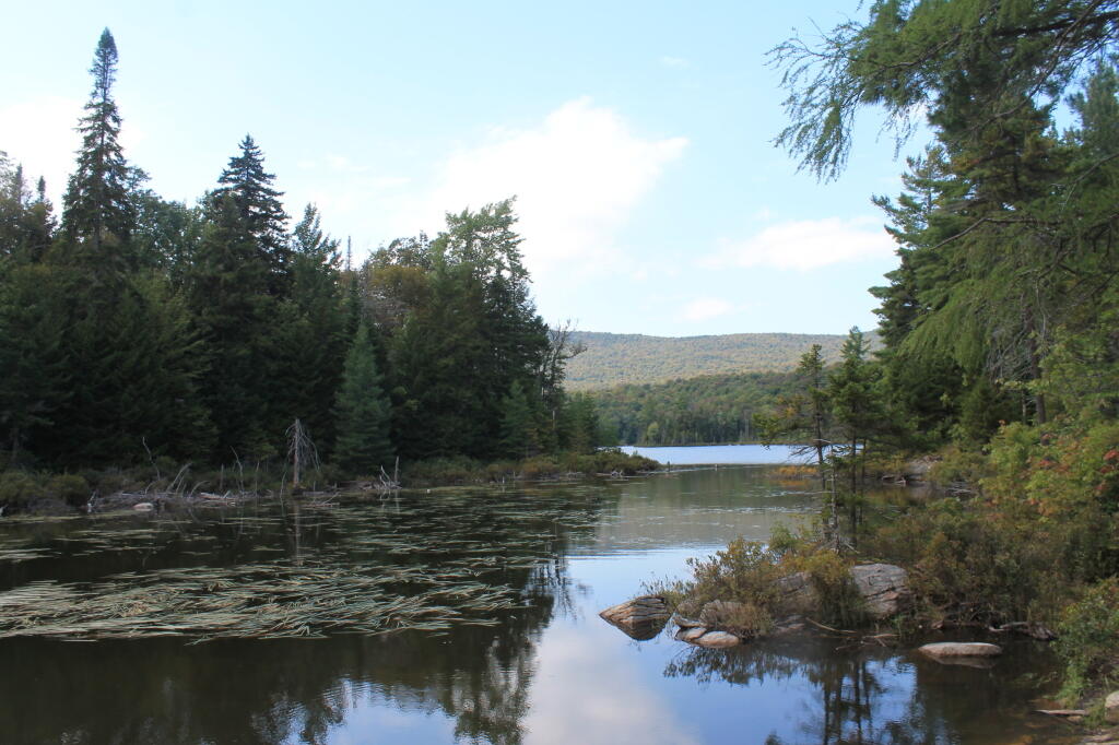 Photo: Wakely Pond