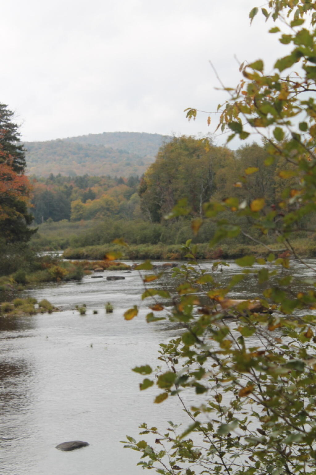 Photo: West Branch of Sacandaga River