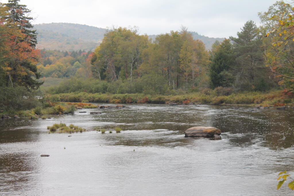 Photo: River