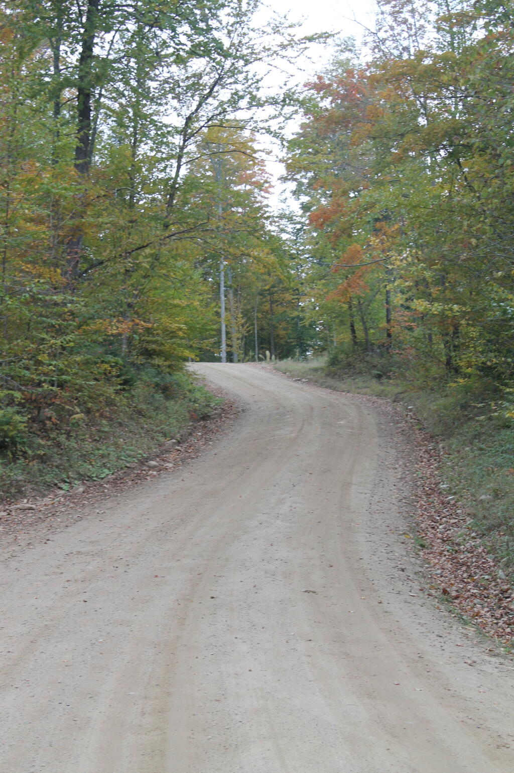 Photo: Whitehouse Road