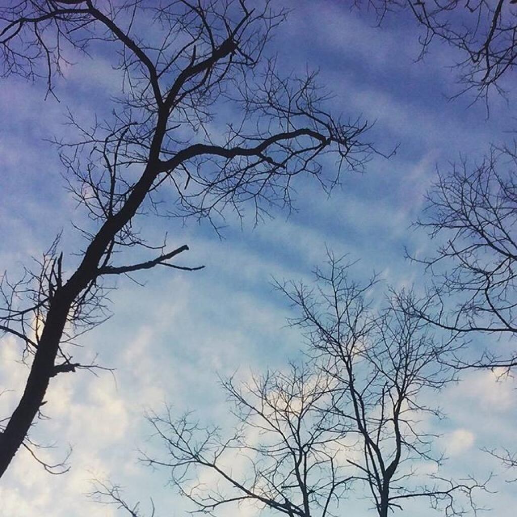 Photo: Before the Christmas Day Storm