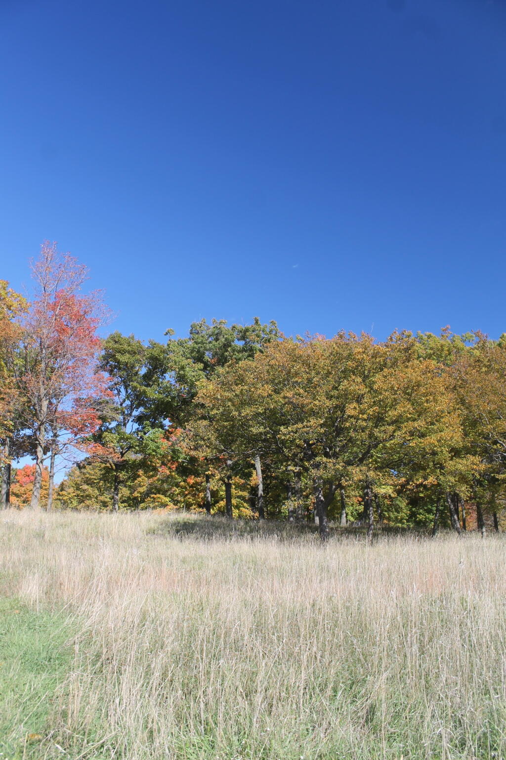 Photo: Deep Blue Skies
