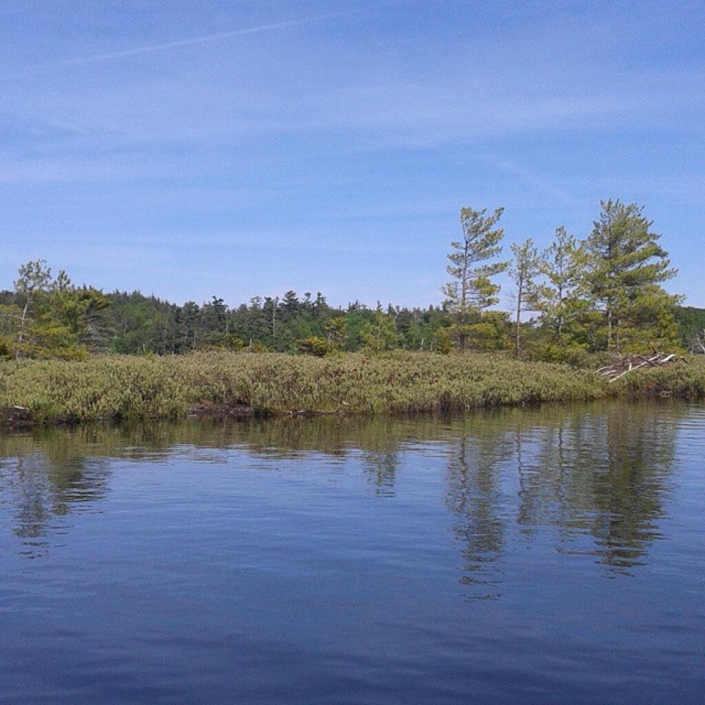 Photo: Island on North Lake