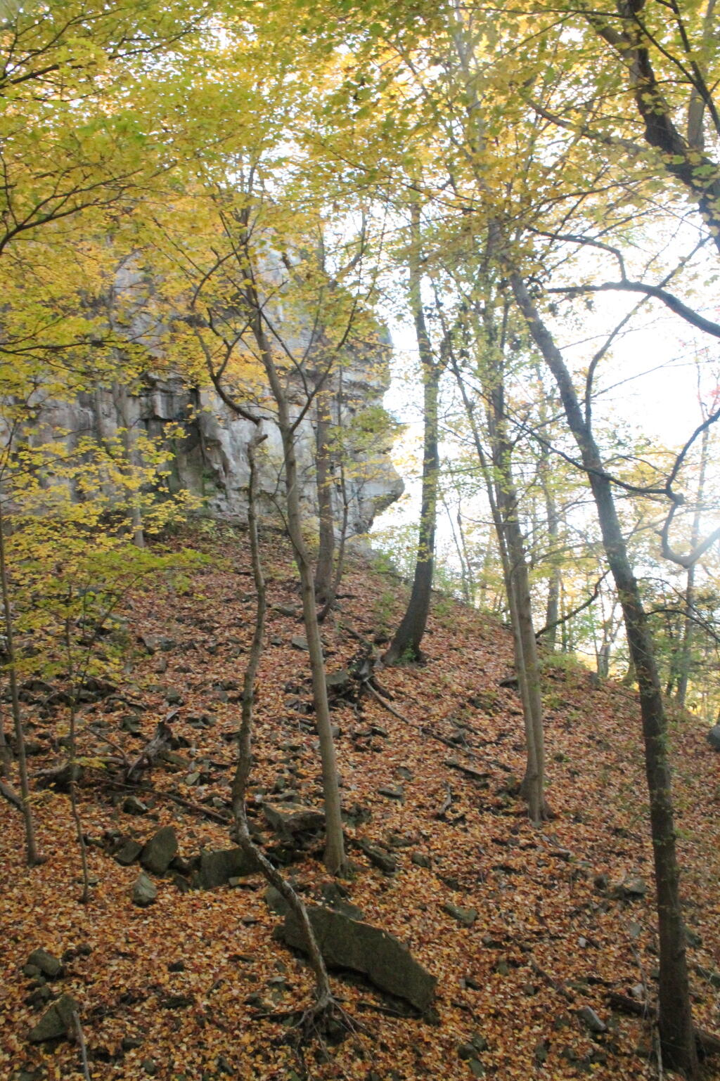 Photo: Heading Down Into Devils Hole Photo: Heading Down Into Devils Hole