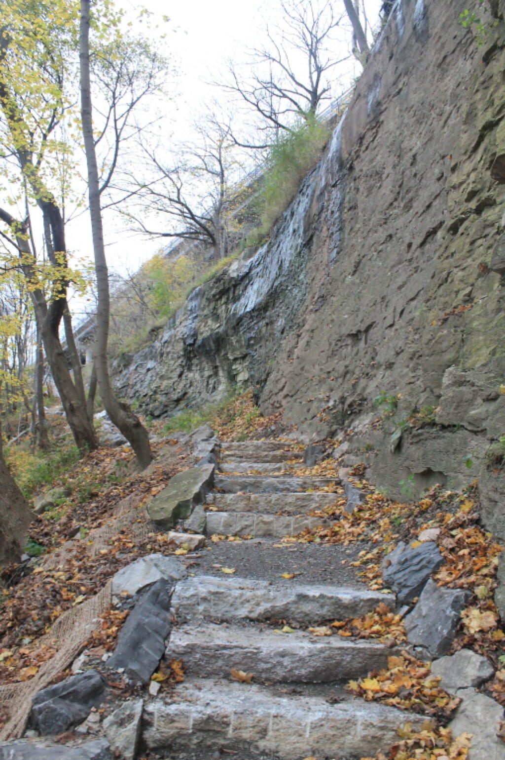 Photo: Climbing Out of the Gorge