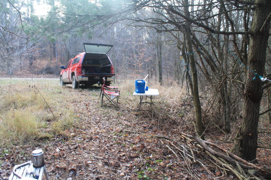 Photo: Campsite from the Woods