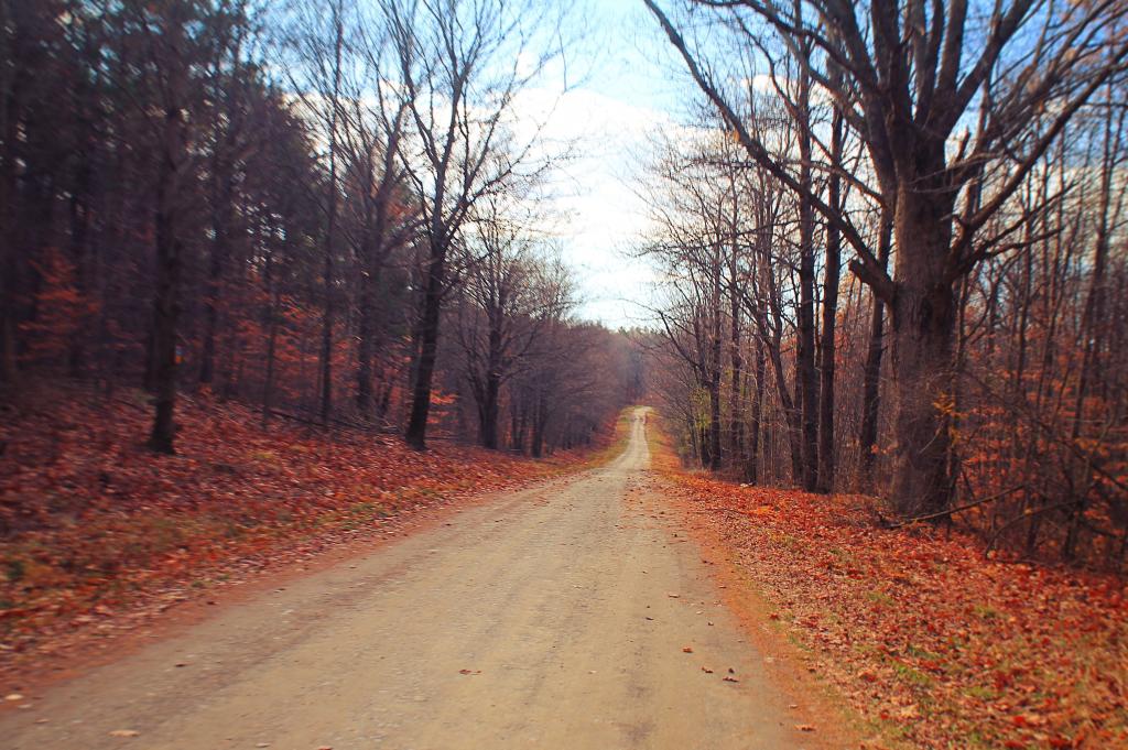 Photo: Maple Lane North Photo: Maple Lane North