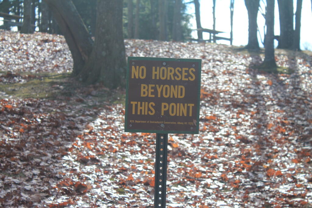 Photo: No Horses in MIddle Ground