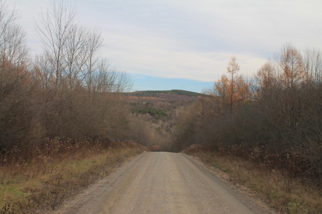 Photo: Sugar Hill Road Photo: Sugar Hill Road