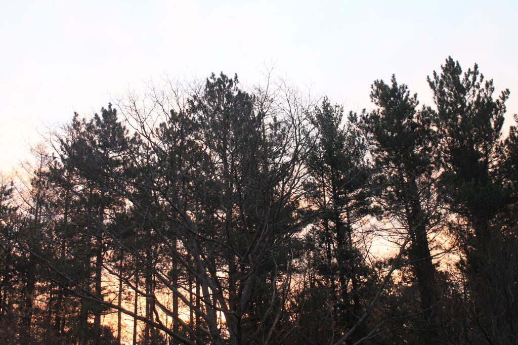 Photo: Red Sky in Morning