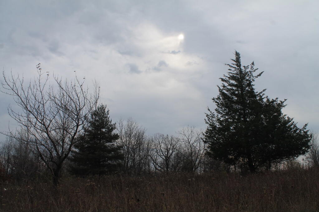 Photo: Cloudying Up Photo: Cloudying Up