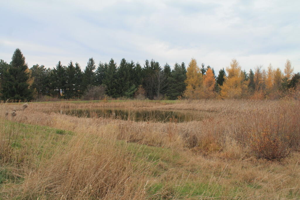 Photo: Bare Hill Pond Photo: Bare Hill Pond