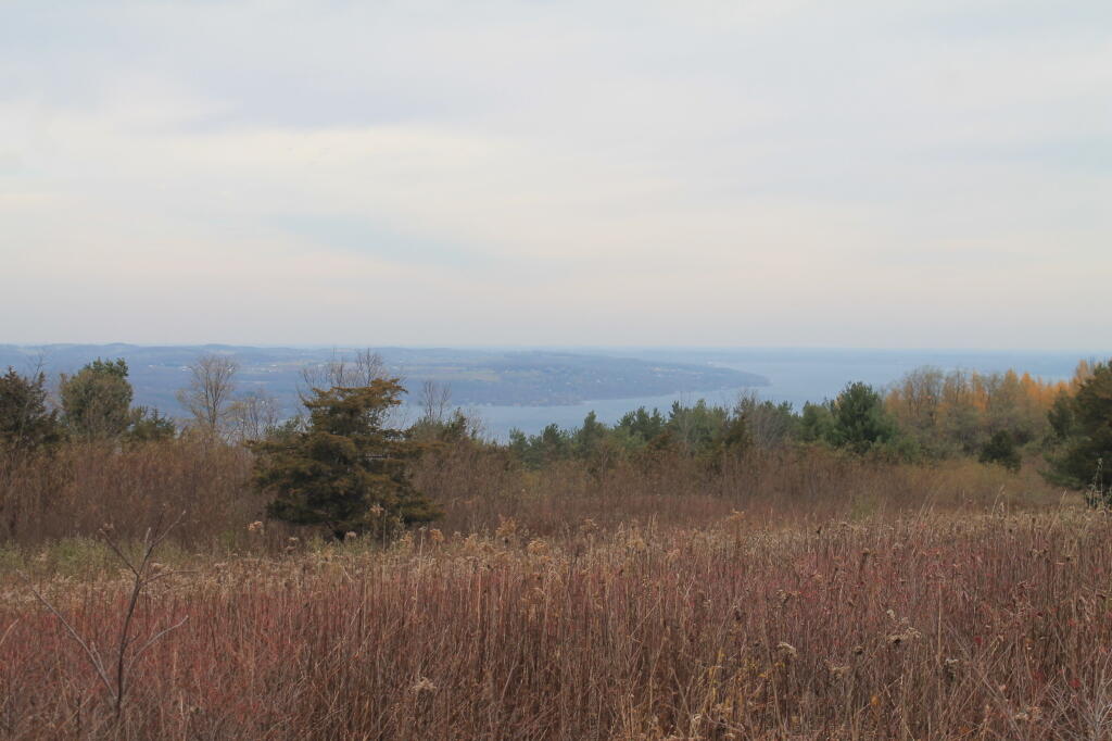 Photo: Canandaigua Lake