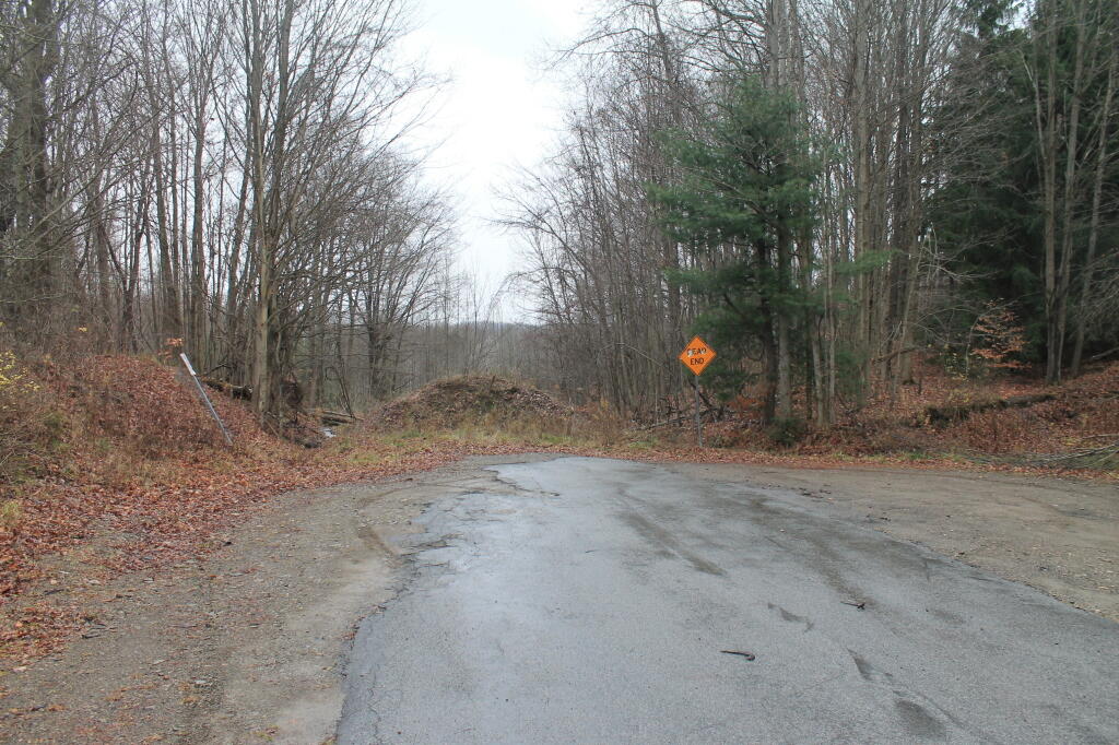Photo: End of Forty Road