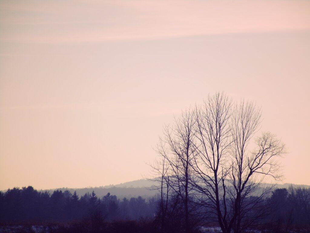 Photo: Kind Of A Hazy Winter Day