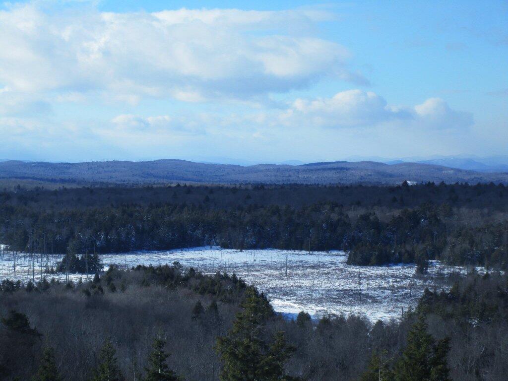 Photo: Clear Cut