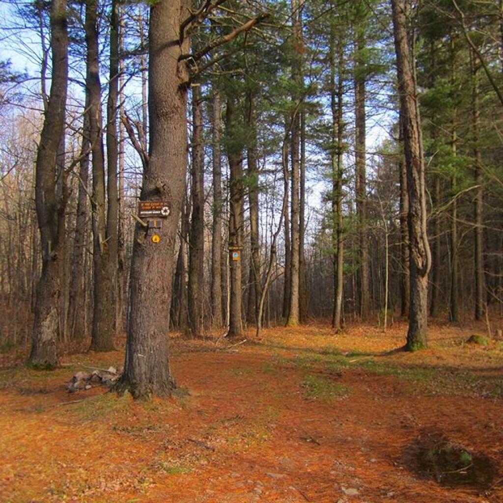 Photo: Campsite