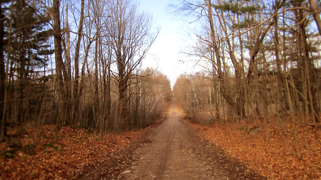 Photo: Conservation Road