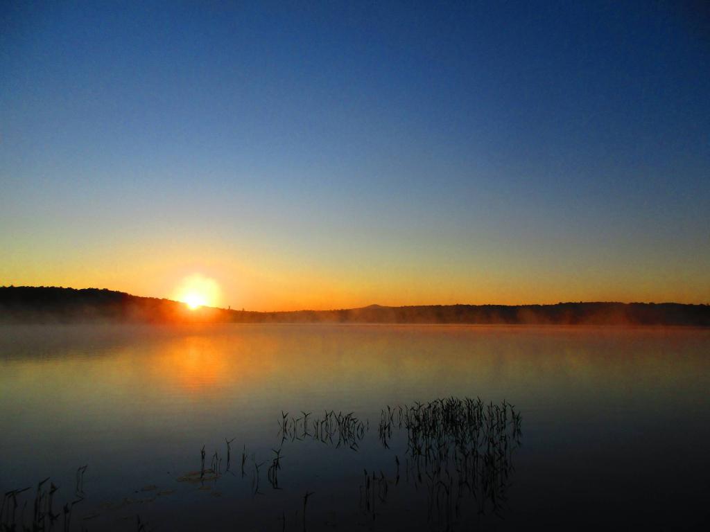 Photo: Foggy Morning at Horsehoe Lake