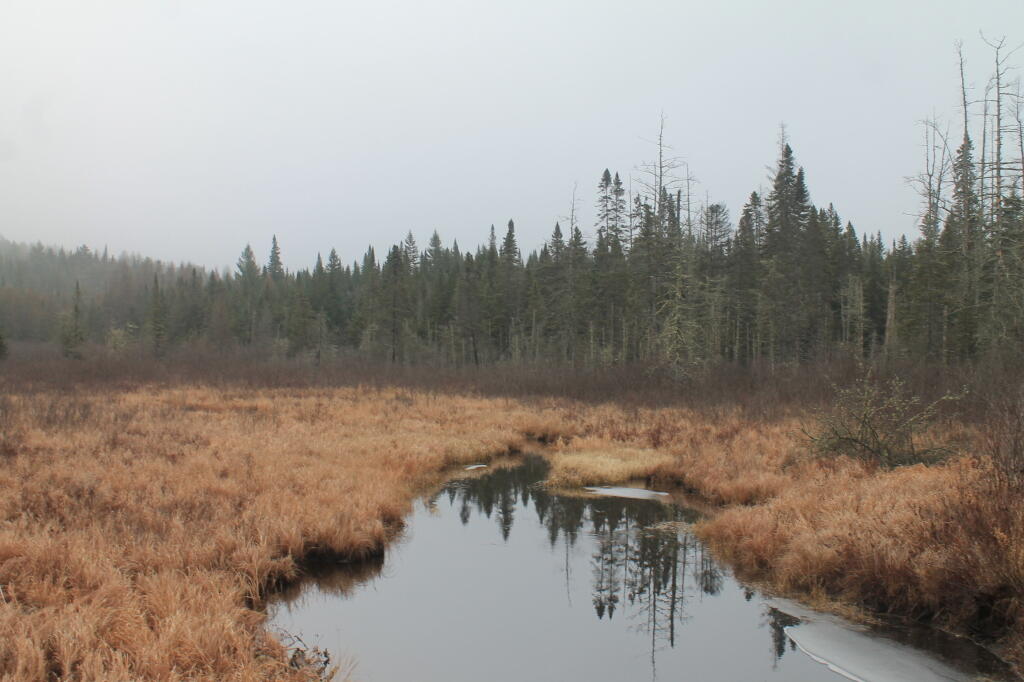 Photo: Untitled