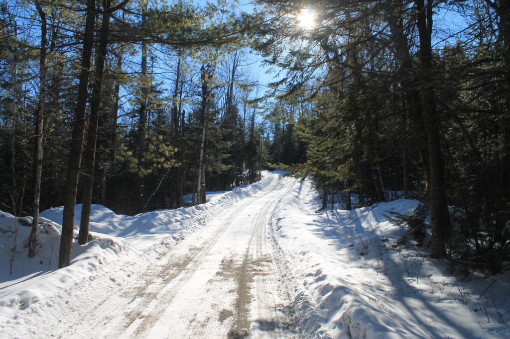 Photo: Belfry Mountain Firetower Road