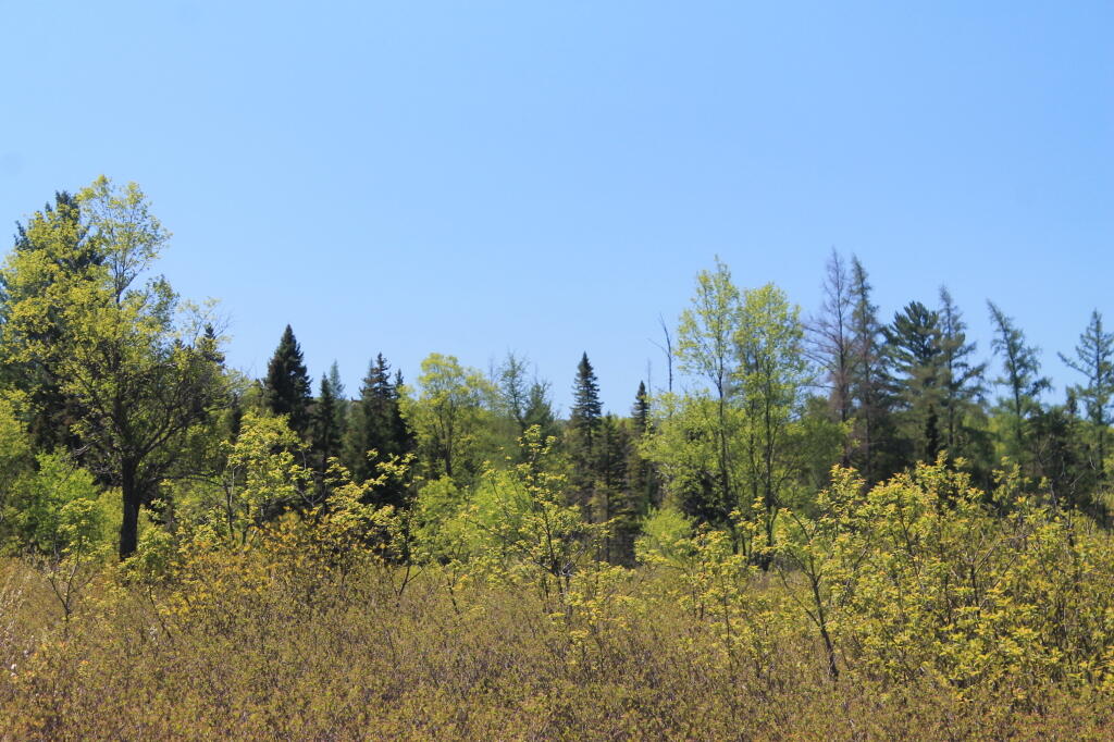 Photo: Photo.2013.05.27 12.29.12
