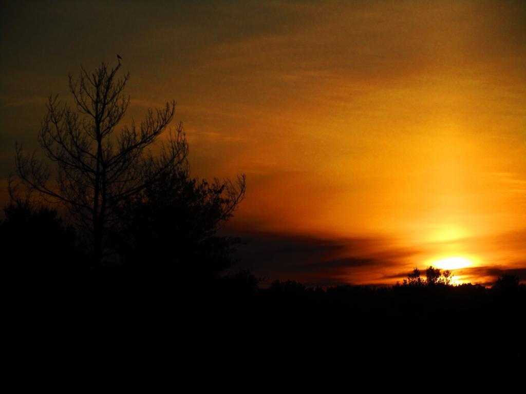 Photo: Sunrise