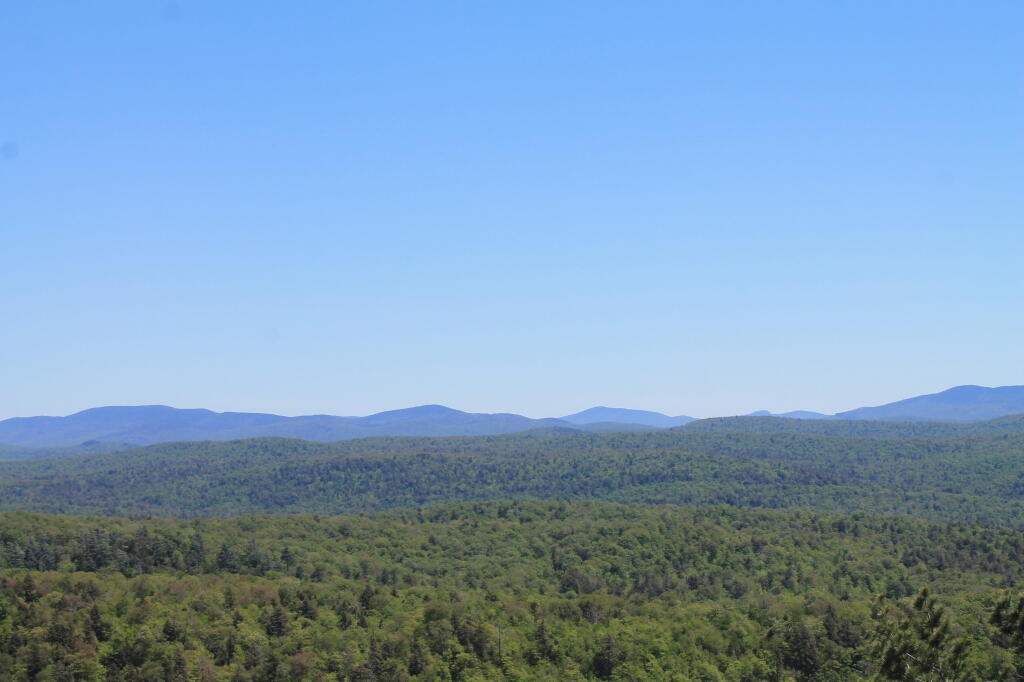 Photo: Moose Plains