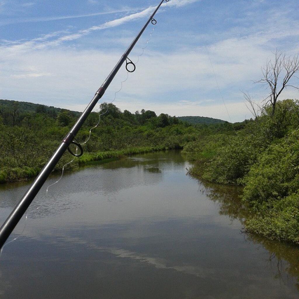 Photo: Beautiful day Photo: Beautiful day