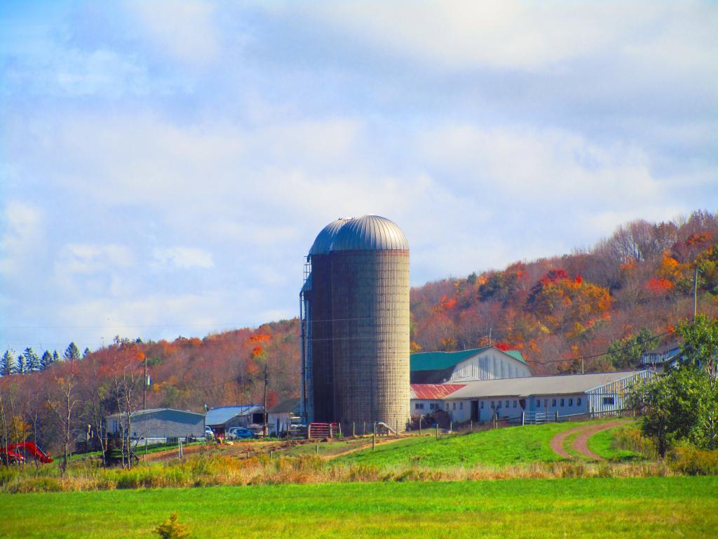 Photo: Murphy Farm
