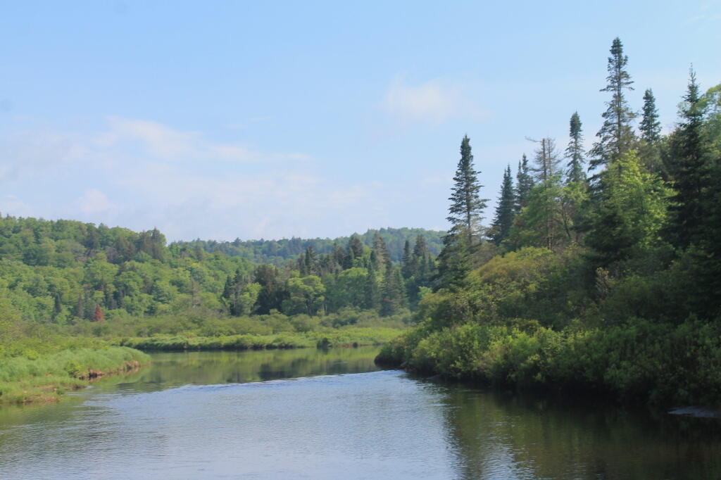 Photo: West Branch of East Canada Creek
