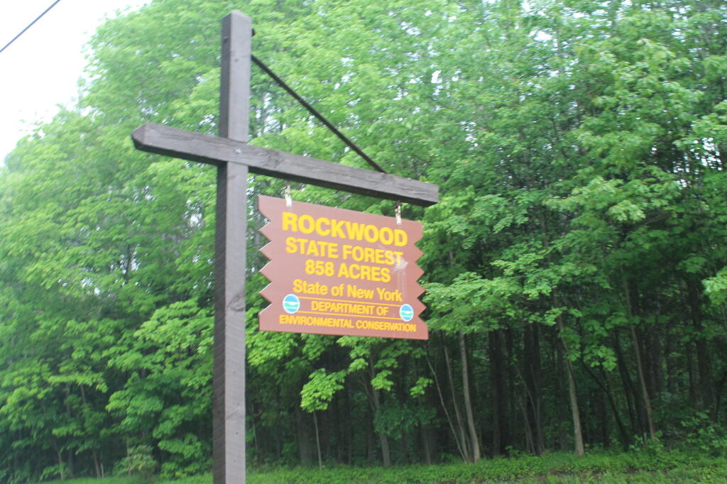 Photo: Rockwood State Forest Sign
