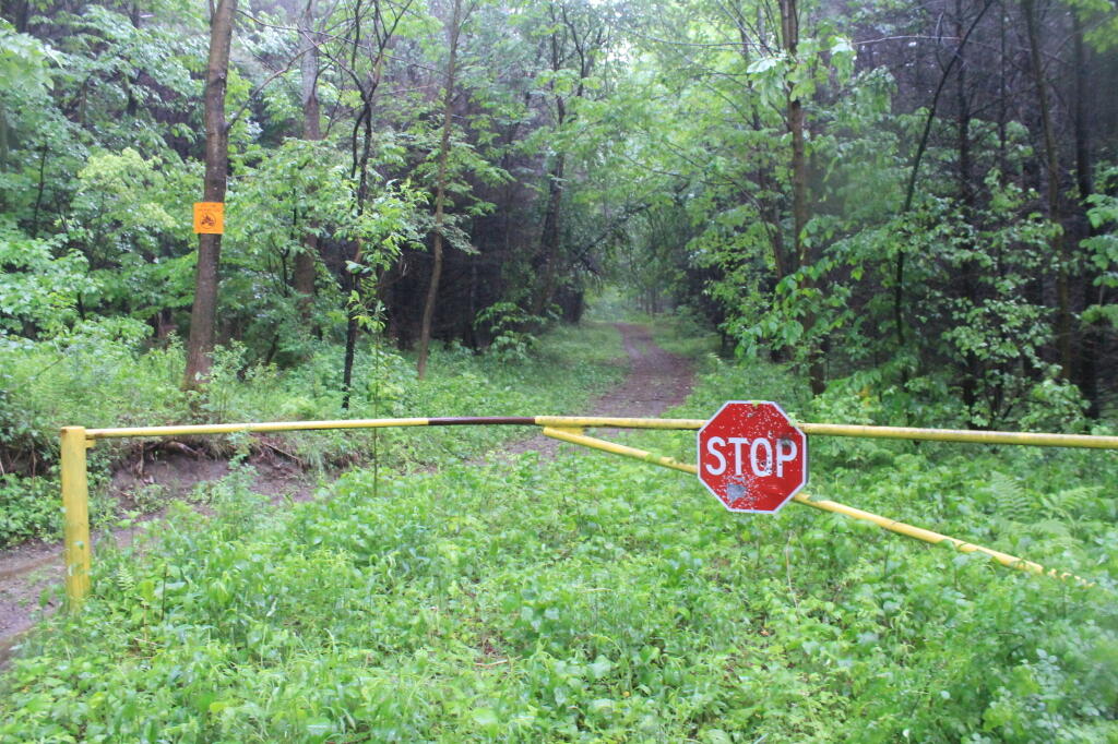 Photo: Rockwood Lake / North Loop Trail Gate