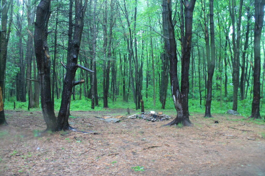 Photo: Rockwood Lake Designated Campsite