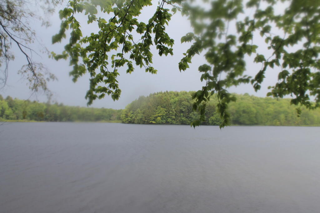Photo: Rockwood Lake