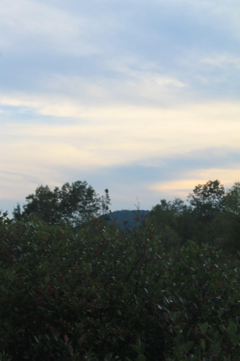 Photo: Towards Mitchell Ponds Mountain