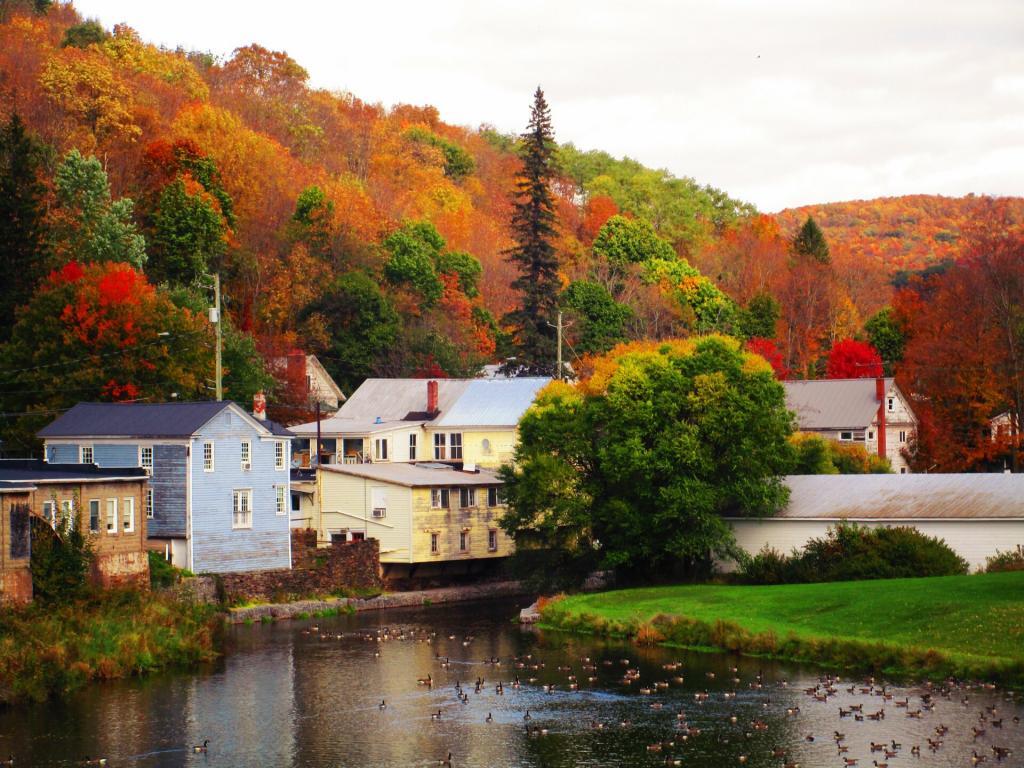 Photo: Hobart Village Pond