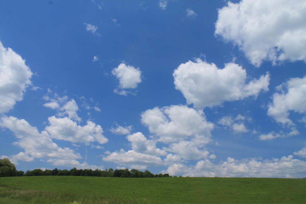 Photo: Green Field, Blue Skies