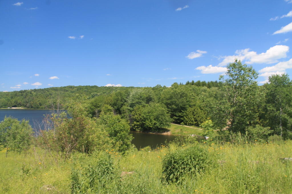 Photo: Tubbs Pond yesterday