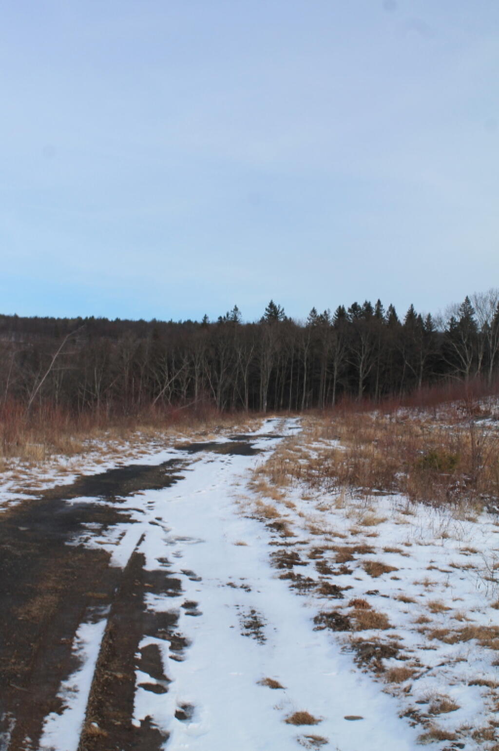 Photo: Cole Hill Truck Trail