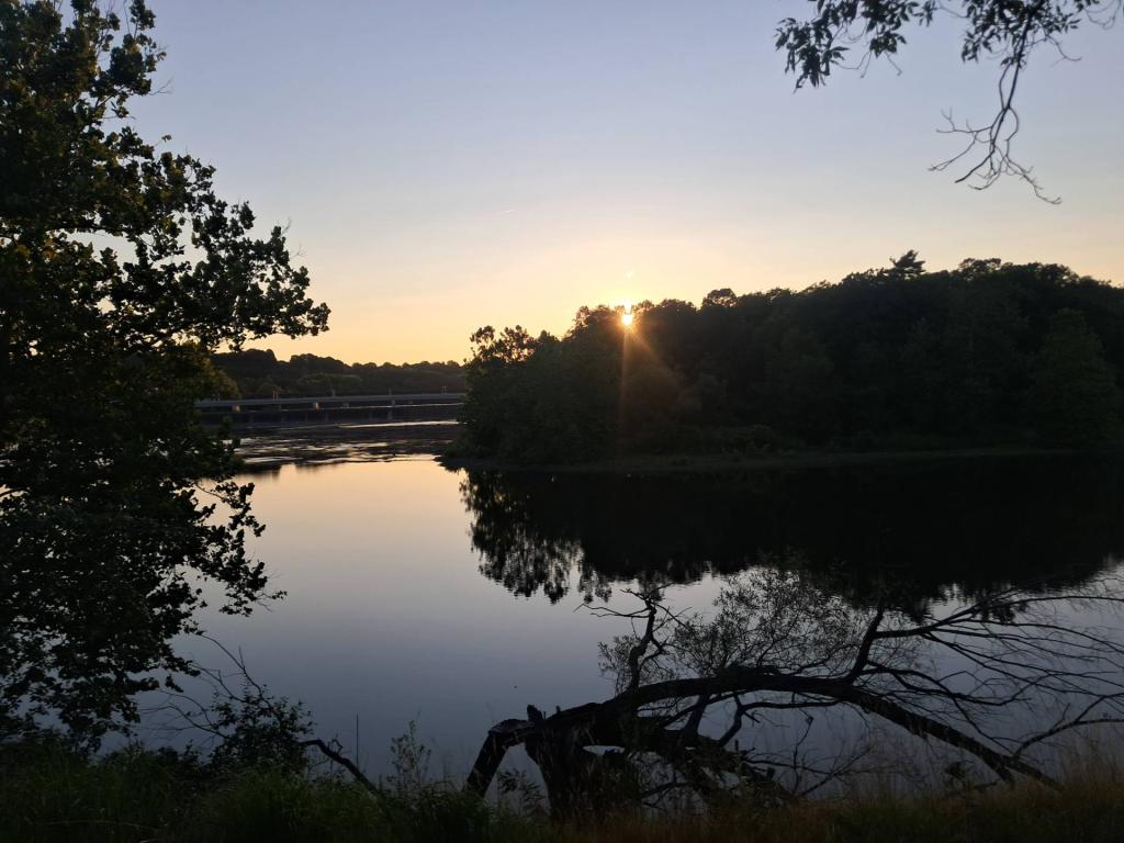 Photo: Untitled