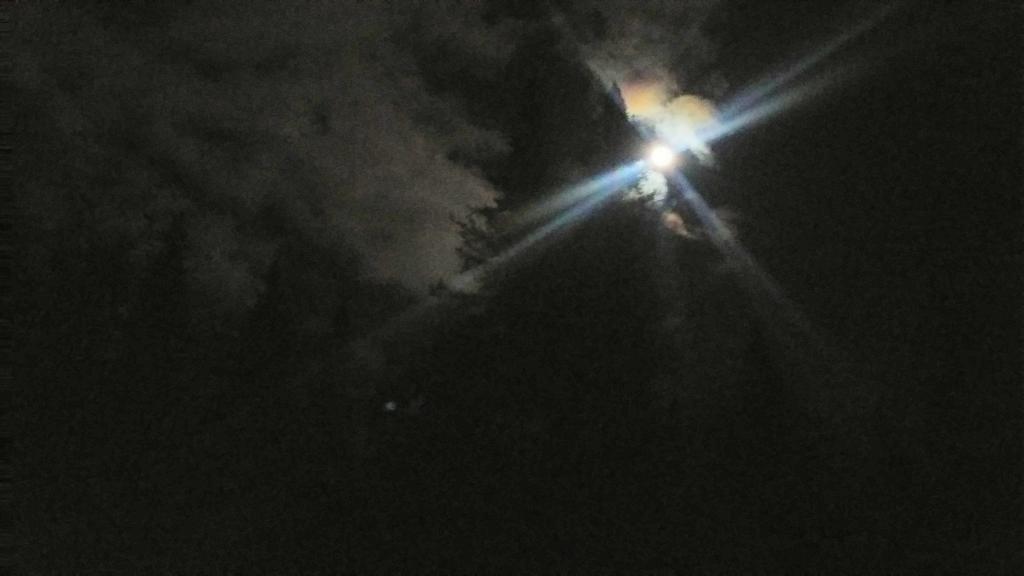Photo: Lots of moonlight over the old growth Spruce