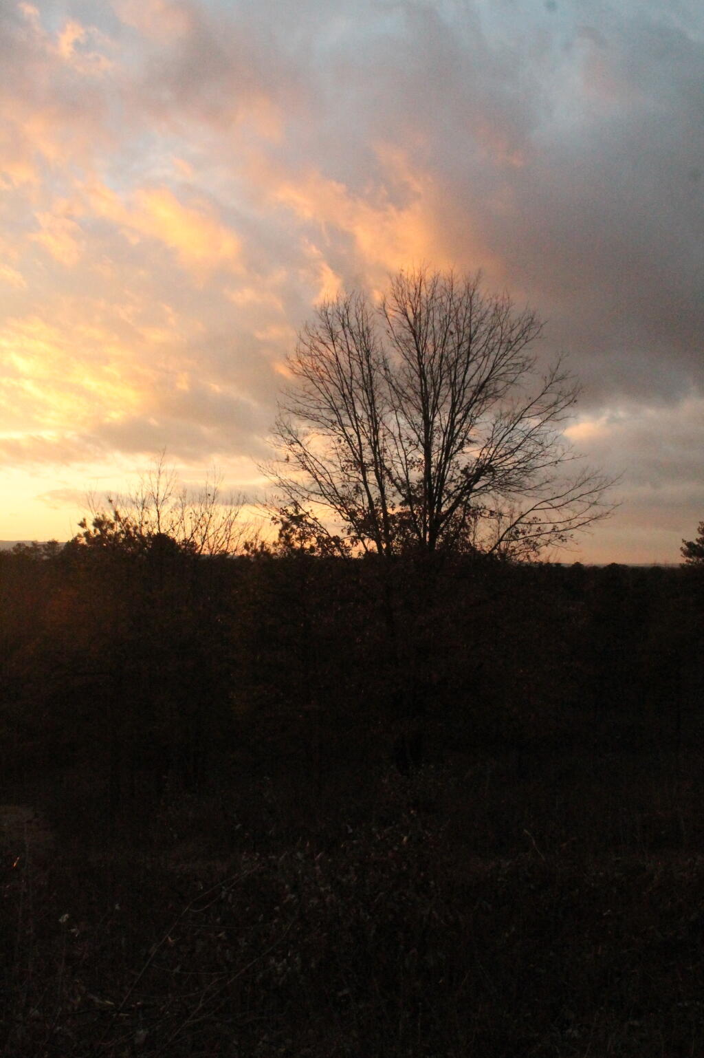 Photo: Untitled