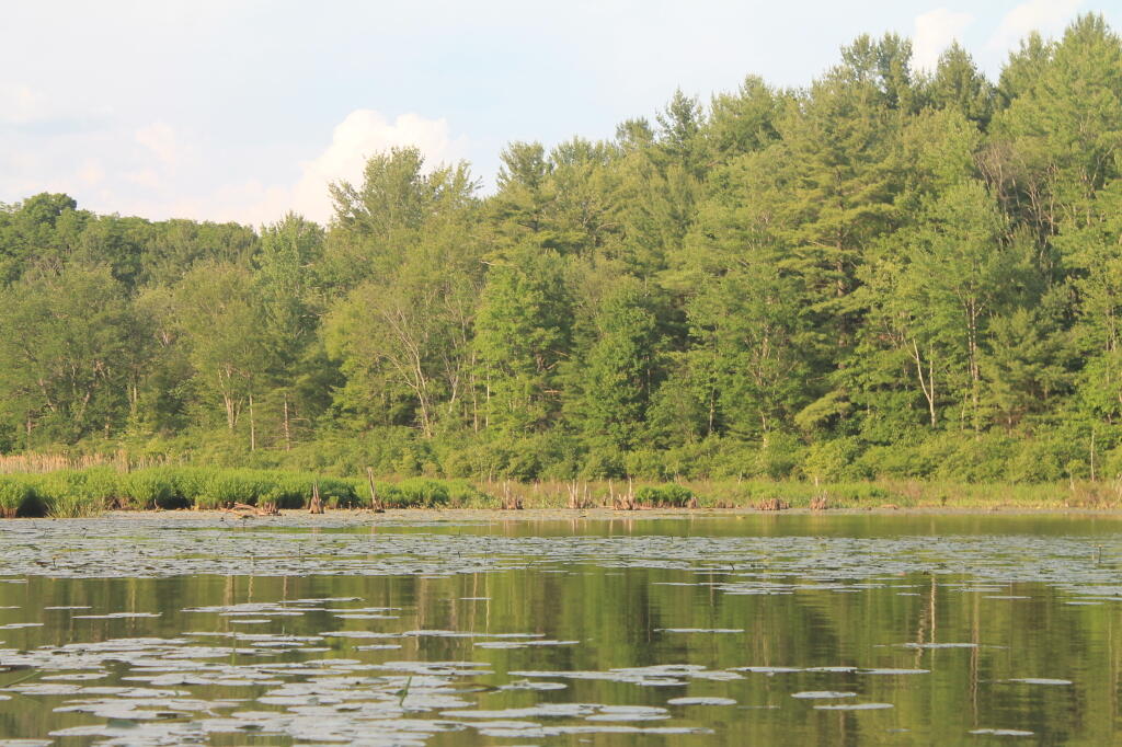 Photo: Relaxing Evening Down at Lawsons Lake