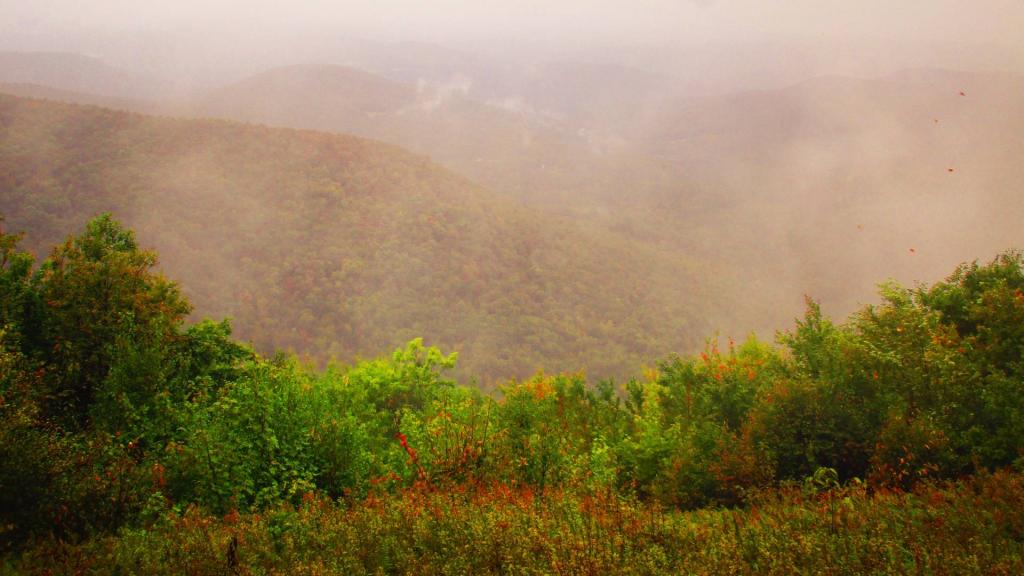 Photo: Taconics in the Fog [Expires October 5 2026]